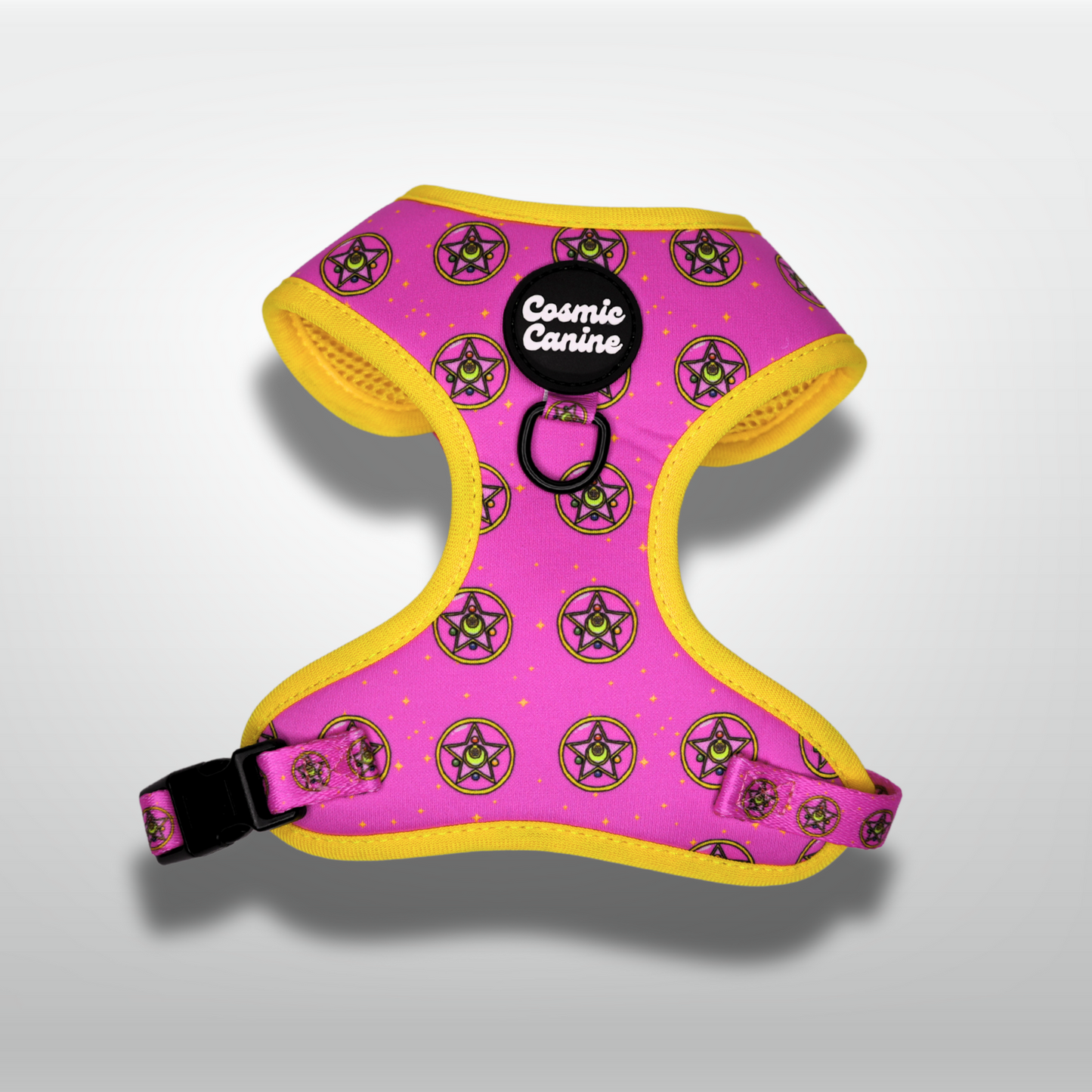 Sailor Melum - Harness