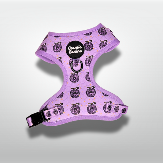 Pup Pup fruit - Harness